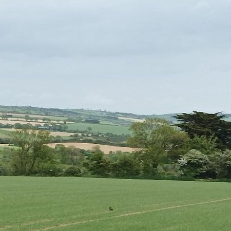 Ard Falcon Cork Bagian luar foto