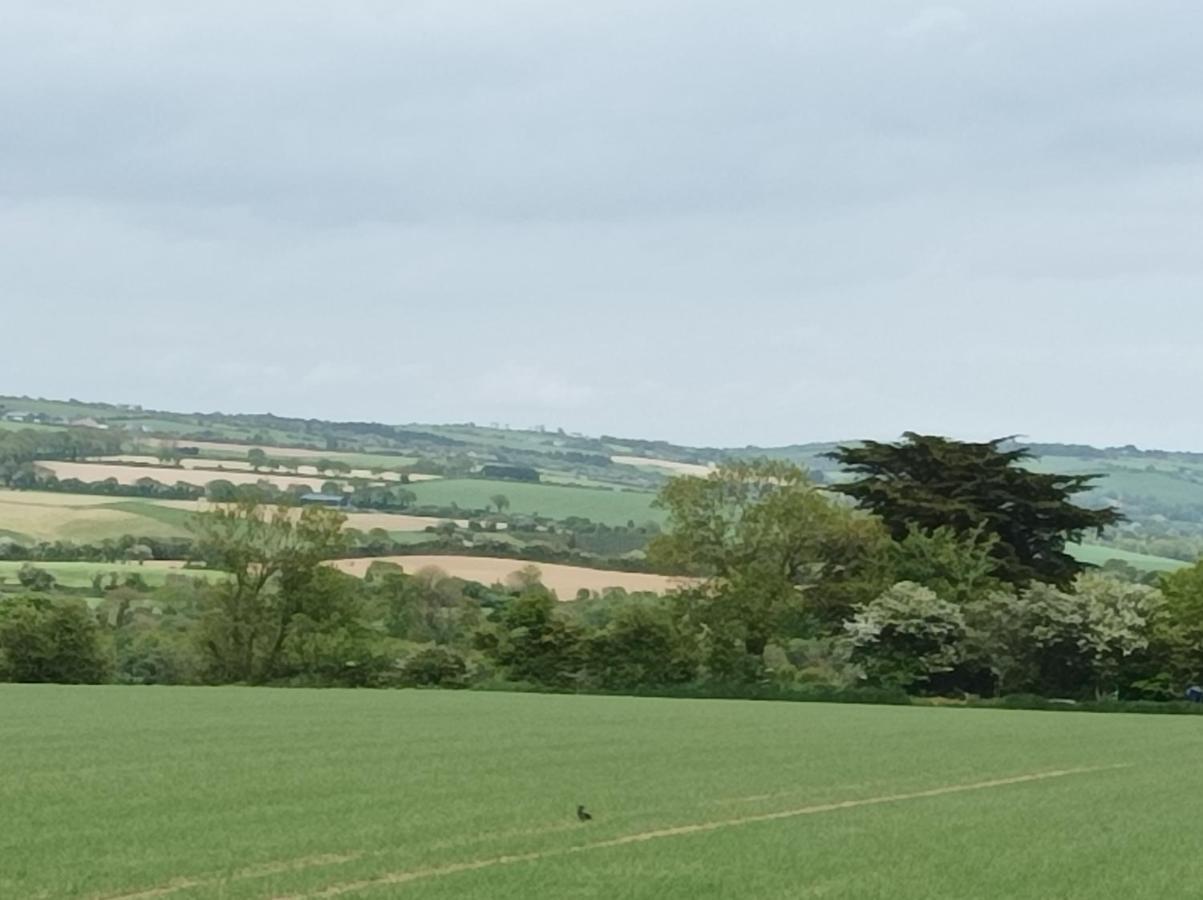 Ard Falcon Cork Bagian luar foto