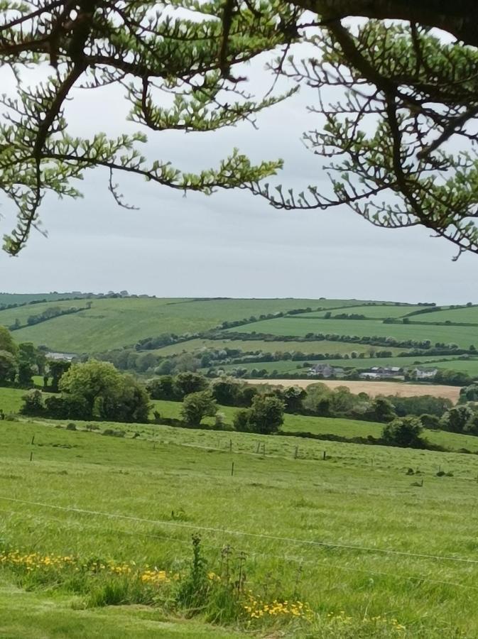 Ard Falcon Cork Bagian luar foto